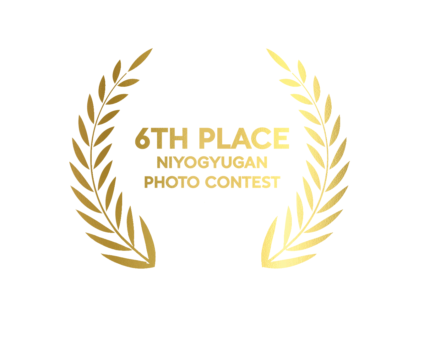 Award 3