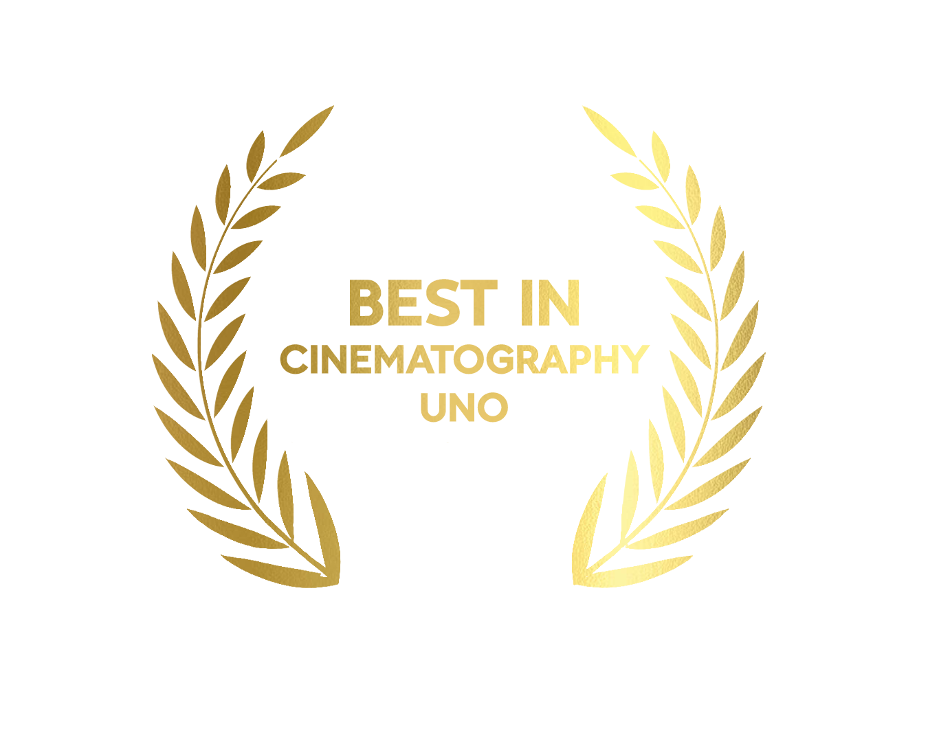 Award 5
